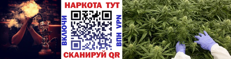 Виды наркотиков купить Шахунья Амфетамин Alpha PVP Мефедрон Марихуана