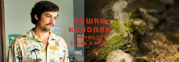 бошки Осинники