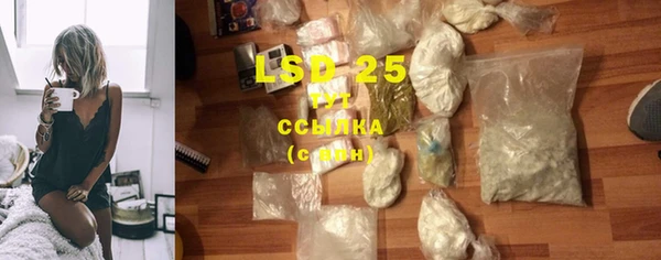 ГАЛЛЮЦИНОГЕННЫЕ ГРИБЫ Остров