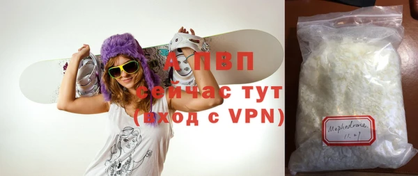 гашик Пересвет