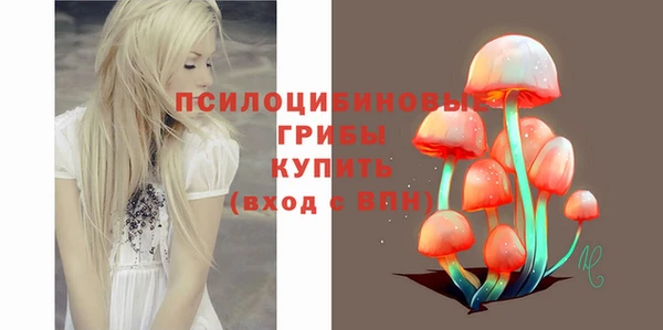 ГАЛЛЮЦИНОГЕННЫЕ ГРИБЫ Остров