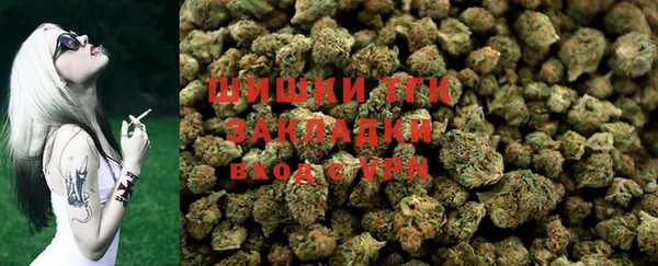 ГАЛЛЮЦИНОГЕННЫЕ ГРИБЫ Остров