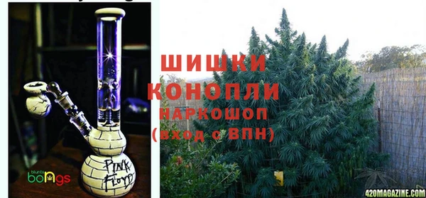бошки Осинники